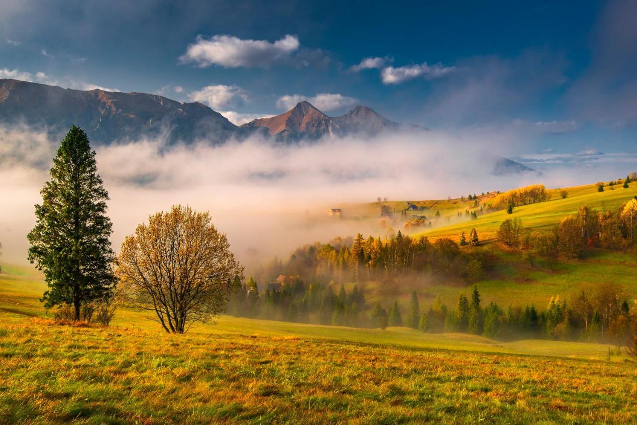 Sova Hotel&Restaurant Ждьяр Экстерьер фото